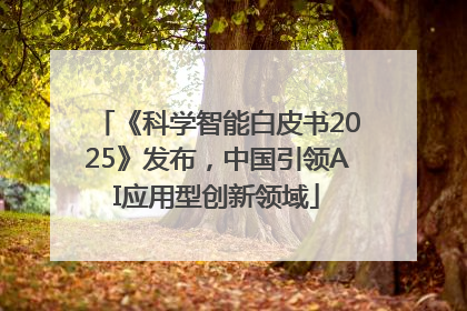 《科学智能白皮书2025》发布，中国引领AI应用型创新领域
