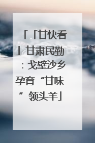 「甘快看」甘肃民勤：戈壁沙乡孕育“甘味”领头羊