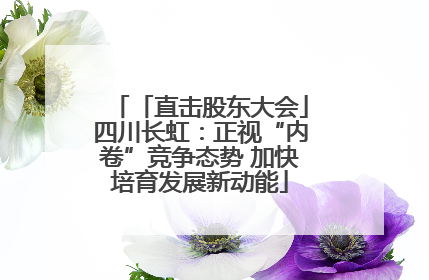 「直击股东大会」四川长虹：正视“内卷”竞争态势 加快培育发展新动能
