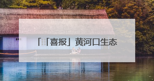 「喜报」黄河口生态旅游区入选山东省微短剧拍摄取景地名单