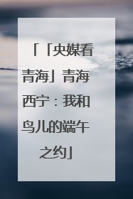 「央媒看青海」青海西宁：我和鸟儿的端午之约