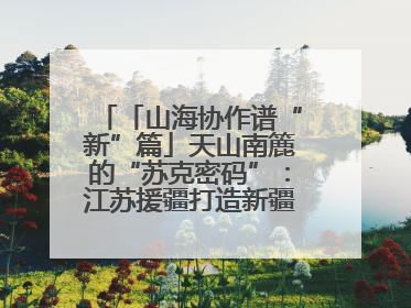 「山海协作谱“新”篇」天山南簏的“苏克密码”：江苏援疆打造新疆克州制造新引擎