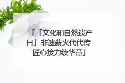 「文化和自然遗产日」非遗薪火代代传 匠心接力续华章