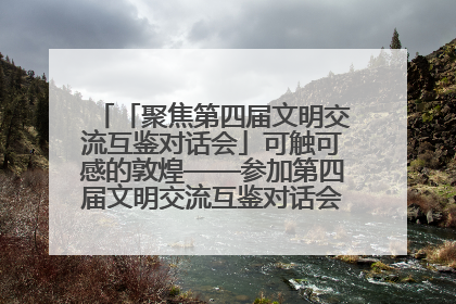 「聚焦第四届文明交流互鉴对话会」可触可感的敦煌——参加第四届文明交流互鉴对话会的外宾参观上元市集