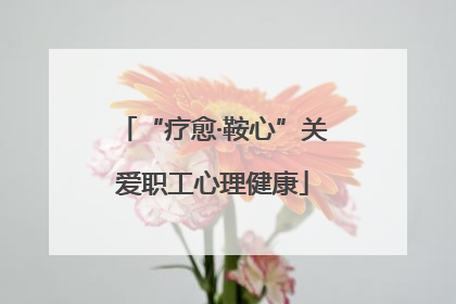 “疗愈·鞍心”关爱职工心理健康