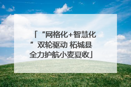 “网格化+智慧化”双轮驱动 柘城县全力护航小麦夏收