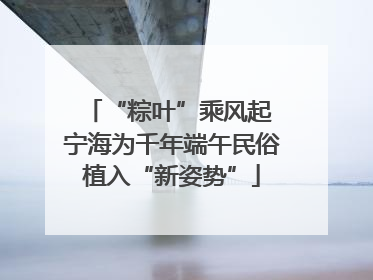 “粽叶”乘风起 宁海为千年端午民俗植入“新姿势”