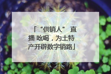 “供销人” 直播 吆喝，为土特产开辟数字销路