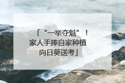 “一举夺魁”！家人手捧自家种植向日葵送考