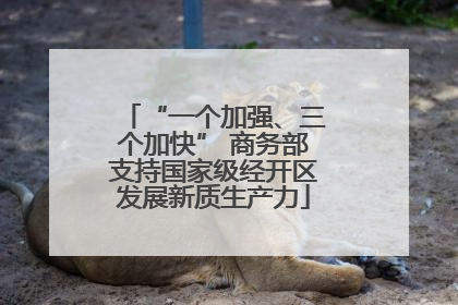 “一个加强、三个加快” 商务部支持国家级经开区发展新质生产力