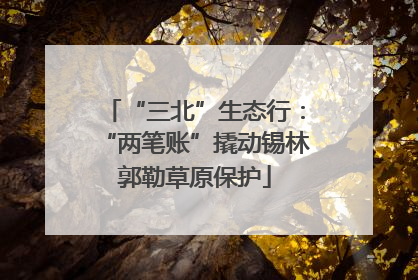 “三北”生态行：“两笔账”撬动锡林郭勒草原保护
