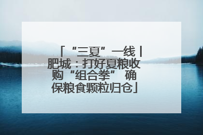 “三夏”一线丨肥城：打好夏粮收购“组合拳” 确保粮食颗粒归仓