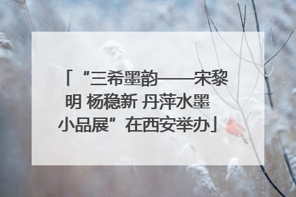 “三希墨韵——宋黎明 杨稳新 丹萍水墨小品展”在西安举办