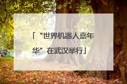 “世界机器人嘉年华”在武汉举行