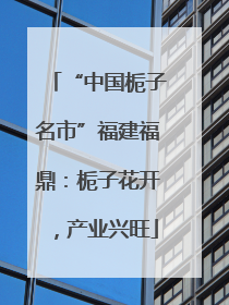 “中国栀子名市”福建福鼎：栀子花开，产业兴旺