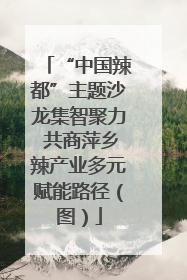 “中国辣都”主题沙龙集智聚力 共商萍乡辣产业多元赋能路径（图）