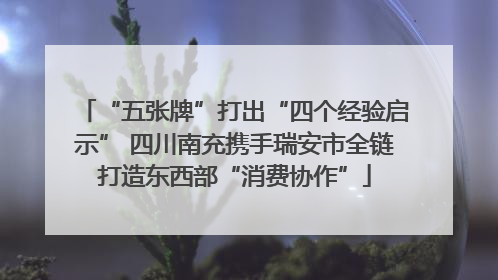 “五张牌”打出“四个经验启示” 四川南充携手瑞安市全链打造东西部“消费协作”
