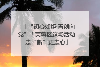 “初心如炬·青创向党”！芙蓉区这场活动走“新”更走心