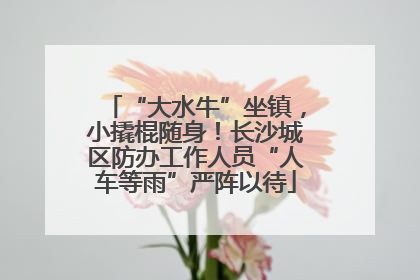 “大水牛”坐镇，小撬棍随身！长沙城区防办工作人员“人车等雨”严阵以待