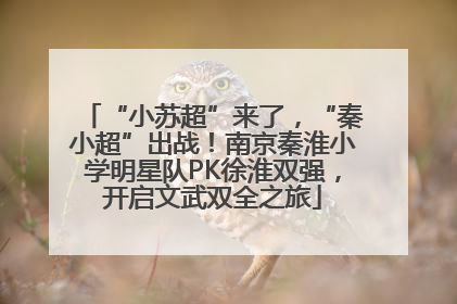 “小苏超”来了，“秦小超”出战！南京秦淮小学明星队PK徐淮双强，开启文武双全之旅