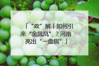 “政”解丨如何引来“金凤凰”？河南亮出“一盘棋”