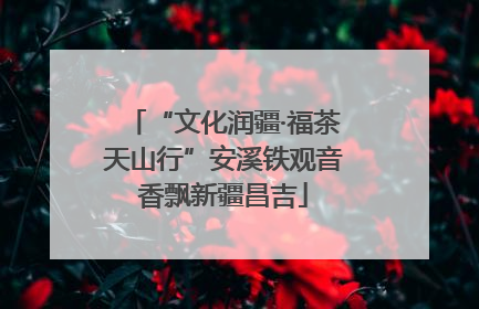 “文化润疆·福茶天山行”安溪铁观音香飘新疆昌吉