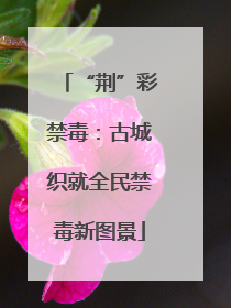 “荆”彩禁毒：古城织就全民禁毒新图景
