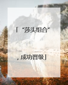 “莎头组合”，成功晋级