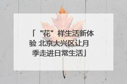 “花”样生活新体验 北京大兴区让月季走进日常生活