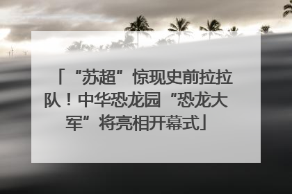 “苏超”惊现史前拉拉队！中华恐龙园“恐龙大军”将亮相开幕式