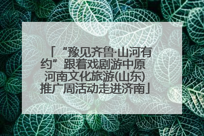 “豫见齐鲁·山河有约”跟着戏剧游中原 河南文化旅游(山东)推广周活动走进济南