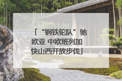 “钢铁驼队”驰欧亚 中欧班列加快山西开放步伐