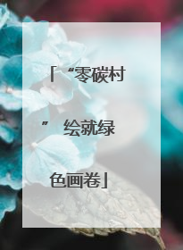 “零碳村” 绘就绿色画卷