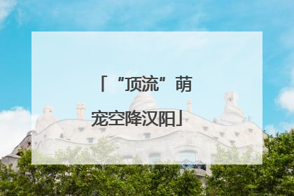 “顶流”萌宠空降汉阳