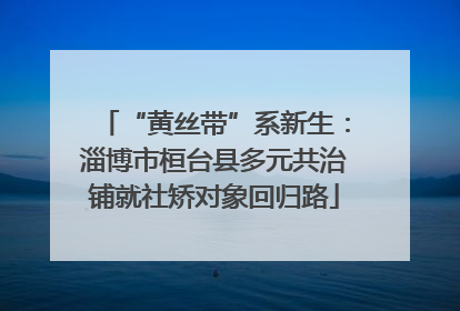 “黄丝带”系新生：淄博市桓台县多元共治铺就社矫对象回归路