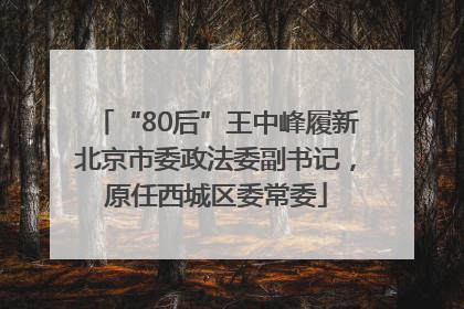 “80后”王中峰履新北京市委政法委副书记，原任西城区委常委