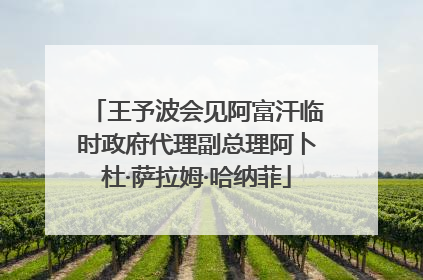 王予波会见阿富汗临时政府代理副总理阿卜杜·萨拉姆·哈纳菲