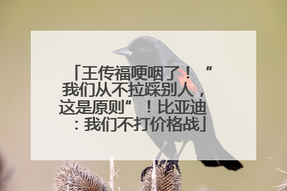 王传福哽咽了！“我们从不拉踩别人，这是原则”！比亚迪：我们不打价格战