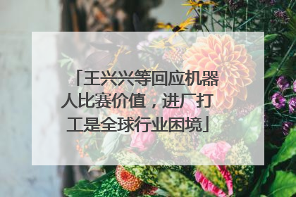 王兴兴等回应机器人比赛价值，进厂打工是全球行业困境