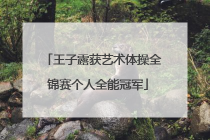 王子露获艺术体操全锦赛个人全能冠军