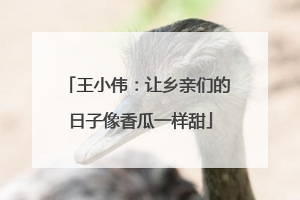 王小伟：让乡亲们的日子像香瓜一样甜