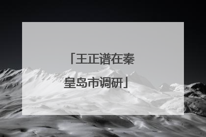 王正谱在秦皇岛市调研