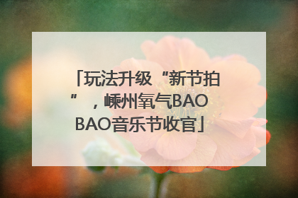 玩法升级“新节拍”，嵊州氧气BAOBAO音乐节收官