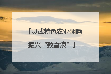 灵武特色农业翻腾振兴“致富浪”