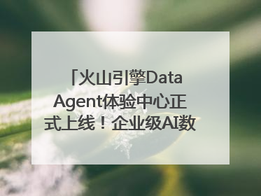 火山引擎Data Agent体验中心正式上线！企业级AI数据专家触手可及