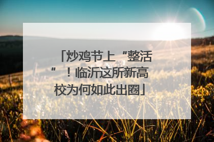 炒鸡节上“整活”！临沂这所新高校为何如此出圈