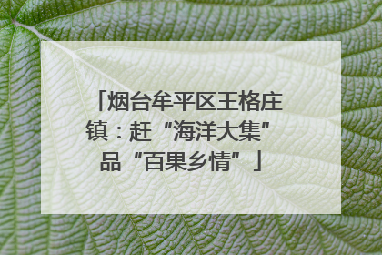 烟台牟平区王格庄镇：赶“海洋大集” 品“百果乡情”