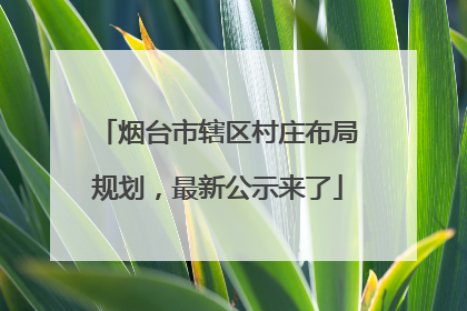 烟台市辖区村庄布局规划，最新公示来了