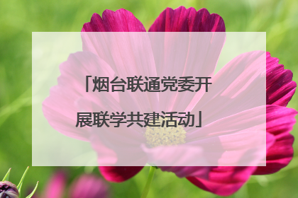 烟台联通党委开展联学共建活动