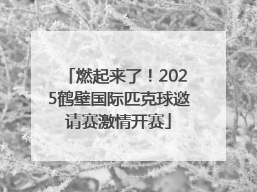燃起来了！2025鹤壁国际匹克球邀请赛激情开赛